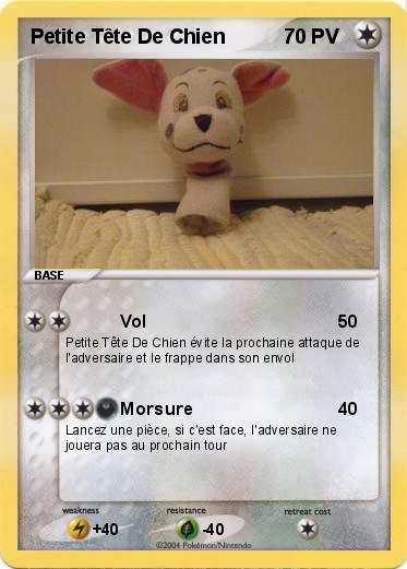 Pokemon Petite Tête De Chien