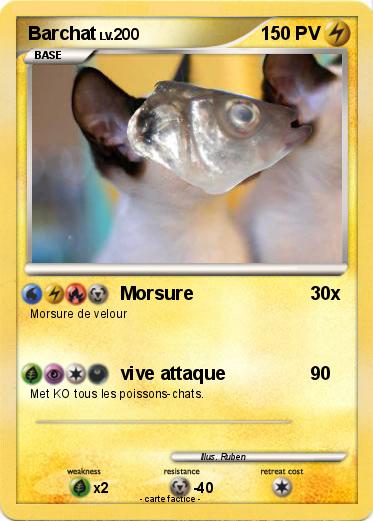 Pokemon Barchat