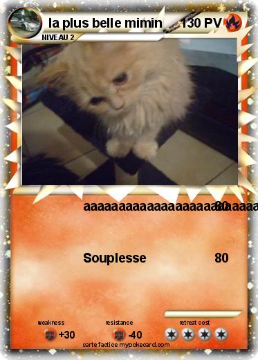 Pokemon la plus belle mimin