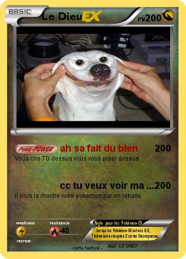 Pokemon Le Dieu