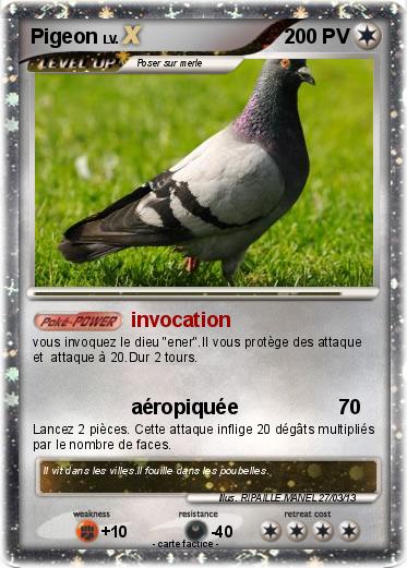 Pokemon Pigeon