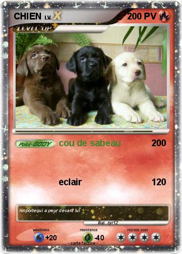 Pokemon CHIEN