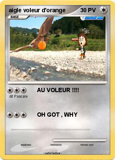 Pokemon aigle voleur d'orange