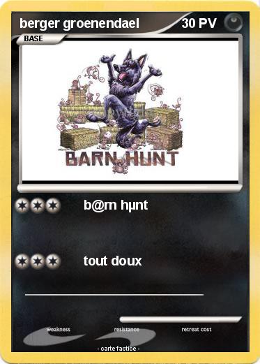 Pokemon berger groenendael