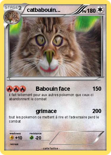 Pokemon catbabouin...