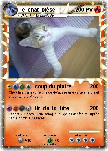 Pokemon le  chat  blésé