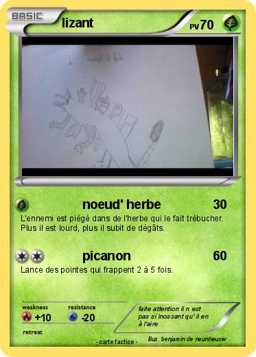 Pokemon lizant