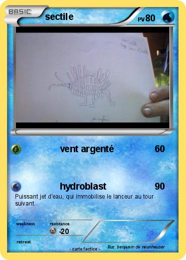 Pokemon sectile