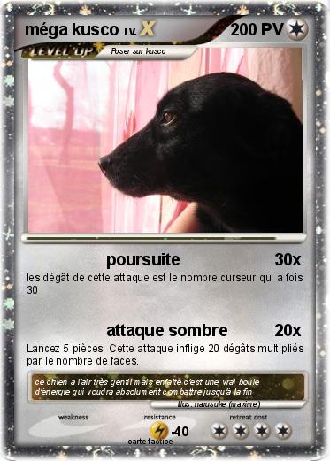Pokemon méga kusco