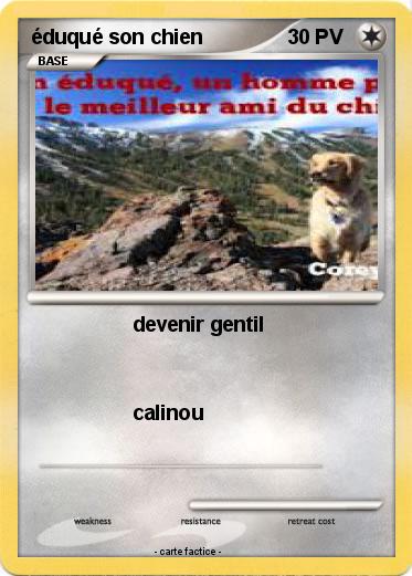 Pokemon éduqué son chien