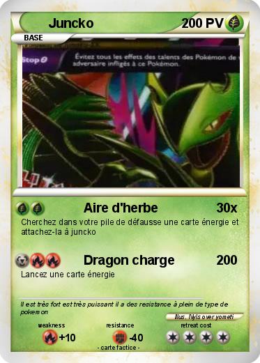 Pokemon Juncko