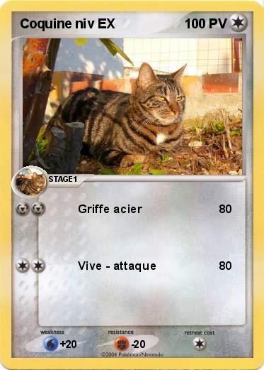 Pokemon Coquine niv EX