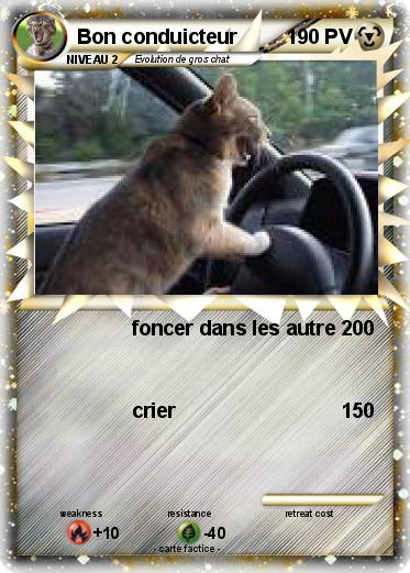 Pokemon Bon conduicteur