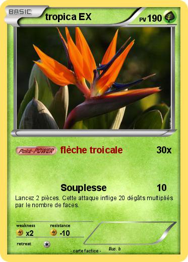 Pokemon tropica EX
