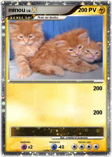 Pokemon minou