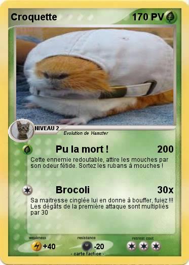 Pokemon Croquette
