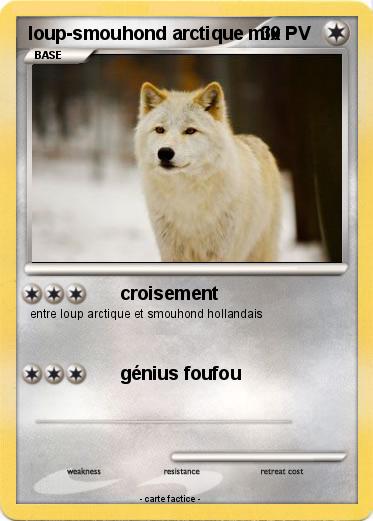 Pokemon loup-smouhond arctique mix