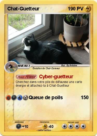 Pokemon Chat-Guetteur