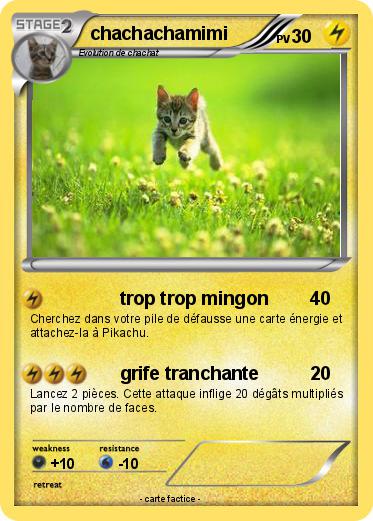 Pokemon chachachamimi