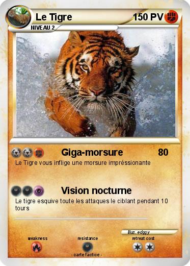 Pokemon Le Tigre