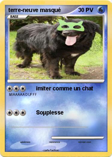 Pokemon terre-neuve masqué