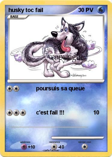 Pokemon husky toc fail