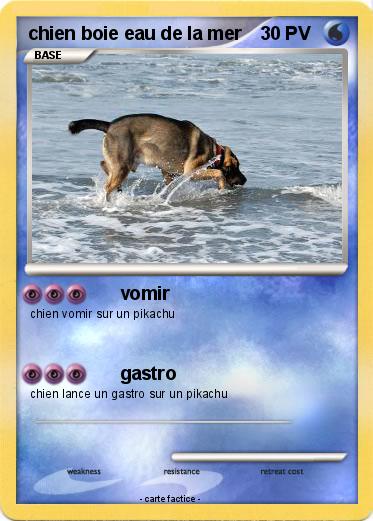 Pokemon chien boie eau de la mer