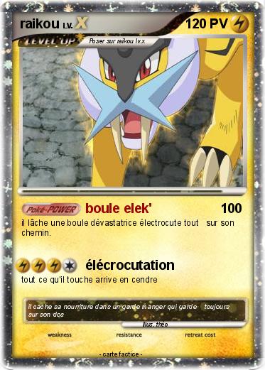 Pokemon raikou