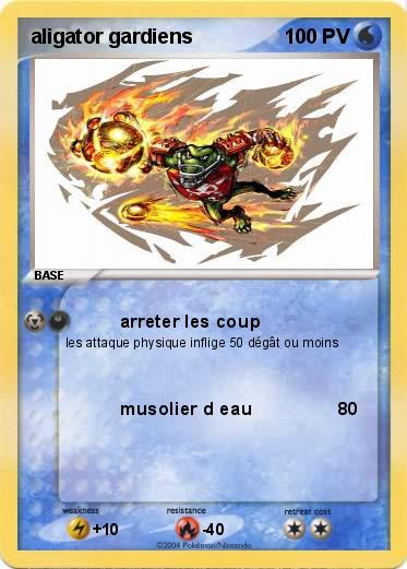 Pokemon aligator gardiens