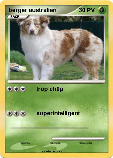 Pokemon berger australien