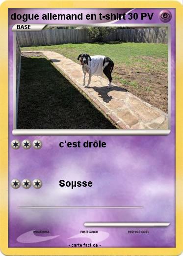 Pokemon dogue allemand en t-shirt