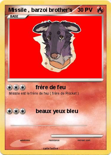 Pokemon Missile , barzoi brother's