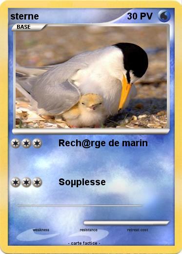 Pokemon sterne