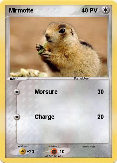Pokemon Mirmotte