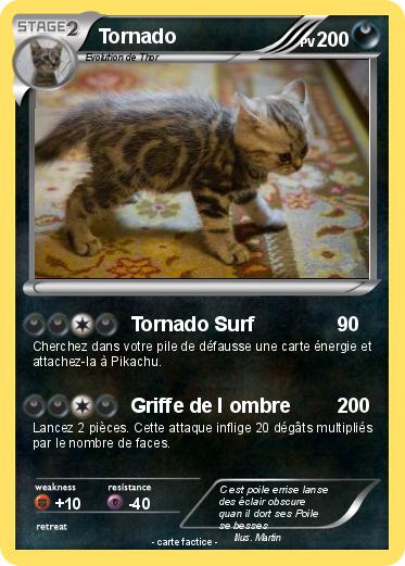 Pokemon Tornado