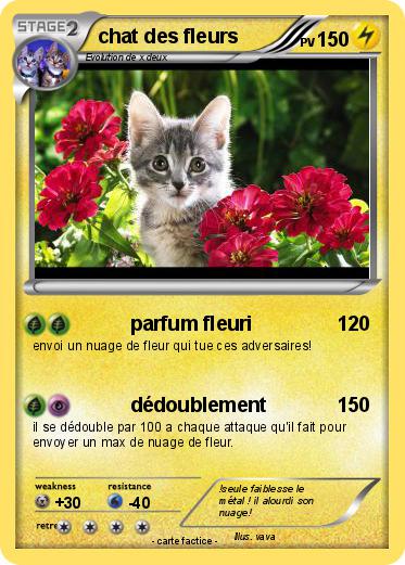 Pokemon chat des fleurs