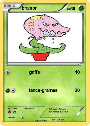 Pokemon braisor