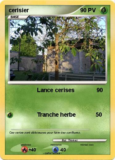 Pokemon cerisier
