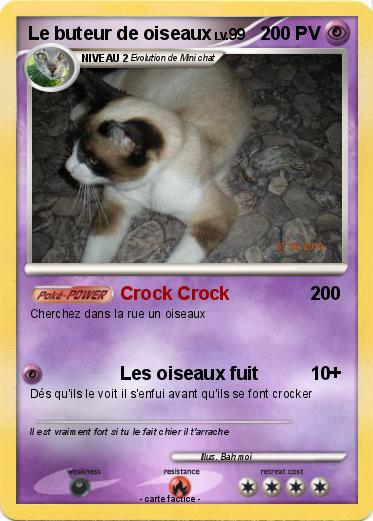 Pokemon Le buteur de oiseaux