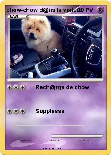 Pokemon chow-chow d@ns la voiture