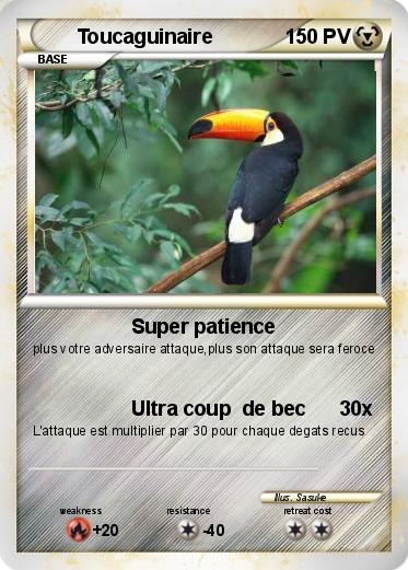 Pokemon Toucaguinaire