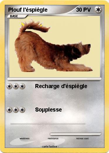 Pokemon Plouf l'éspiègle