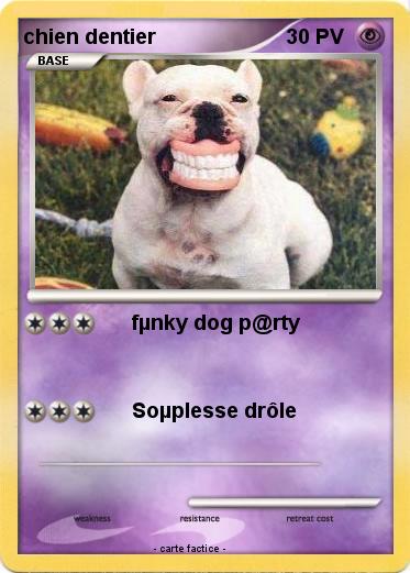 Pokemon chien dentier
