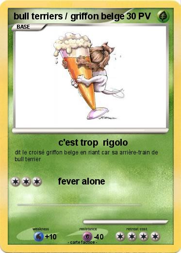 Pokemon bull terriers / griffon belge
