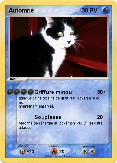 Pokemon Automne