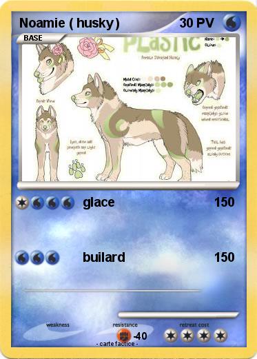 Pokemon Noamie ( husky )
