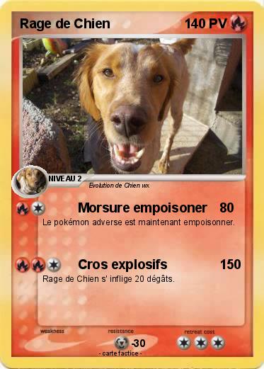 Pokemon Rage de Chien