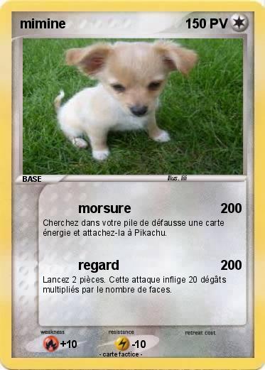 Pokemon mimine