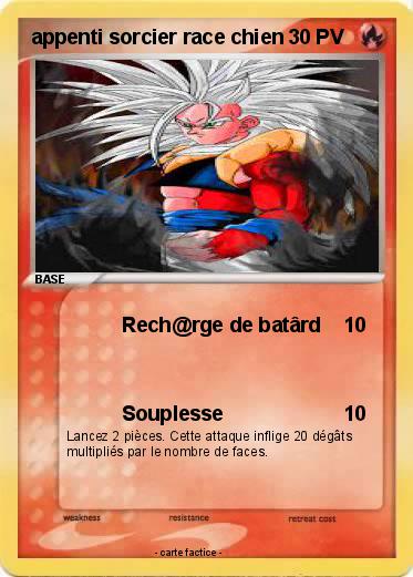 Pokemon appenti sorcier race chien