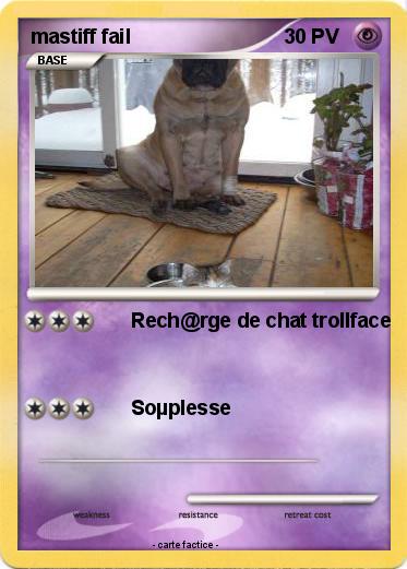 Pokemon mastiff fail